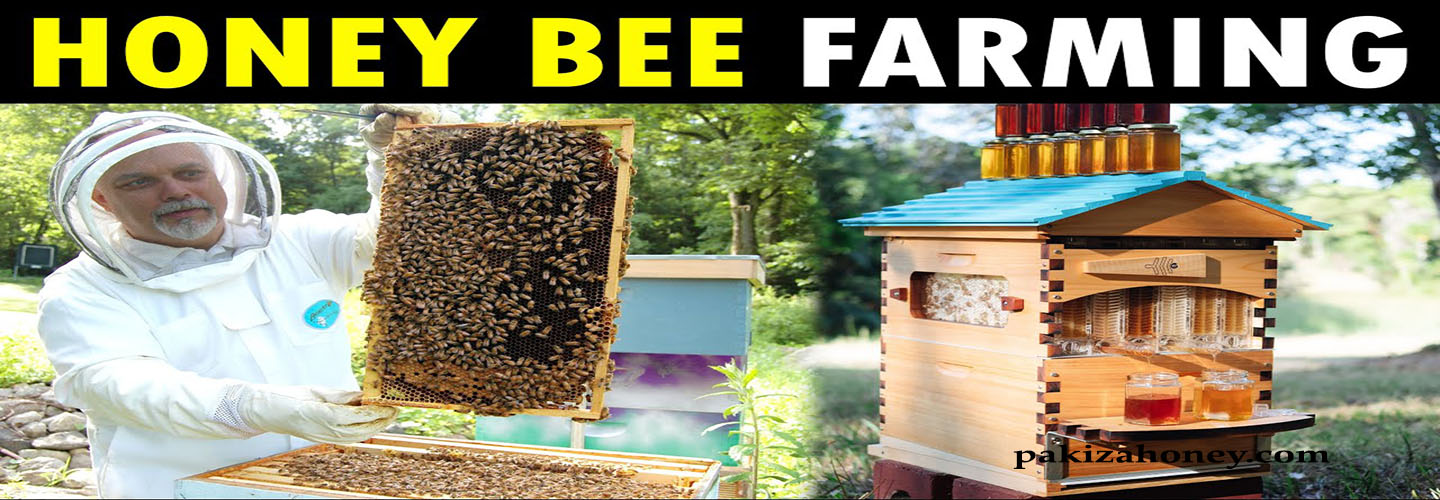 what is honey farming